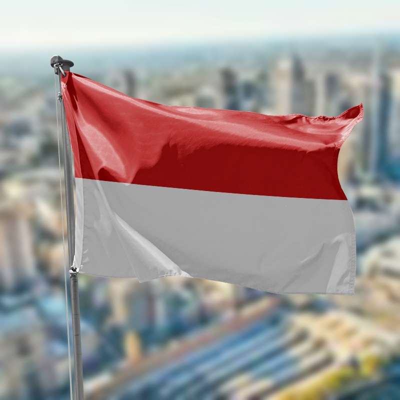 bandera indonesia blanca y roja