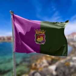 bandera de malaga fucsia y verde con el escudo de malaga en el centro