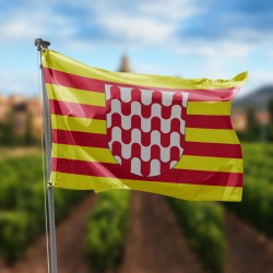 bandera de girona con franjas rojas y amarillas y en el centro un escudo con ondas rojas sobre blanco