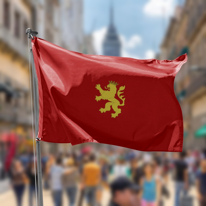 bandera de zaragoza roja con un leon dorado en el centro