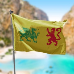 Bandera dinastia imperial sueva amarilla con un dragon verde y un leon rojo