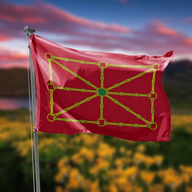bandera estandarte de navarra roja con el emblema de navarra en el centro