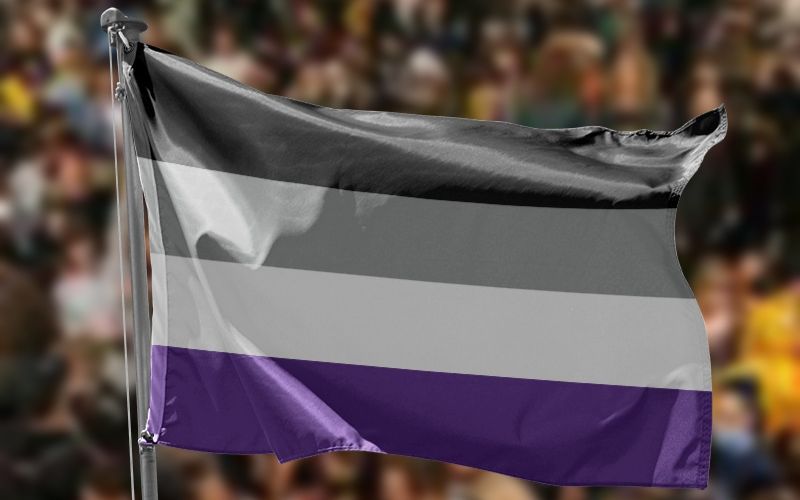 colores bandera asexual