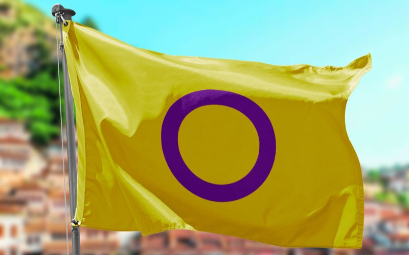 colores bandera intersexual
